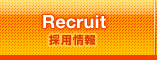 Recruit ̗p