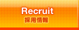 Recruit �̗p���